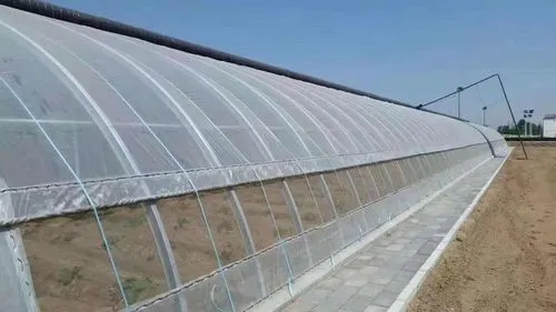 天津建设温室大棚的厂家有哪些