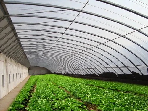 温室大棚蔬菜钢管价格多少？
